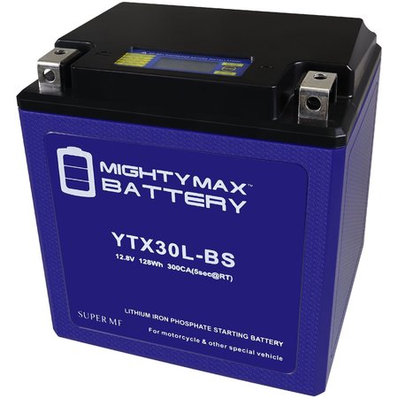 MIGHTY MAX BATTERY MAX4005196